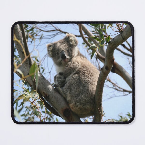Item preview, Australian Koala in the Wild designed and sold by Marilyn Harris.