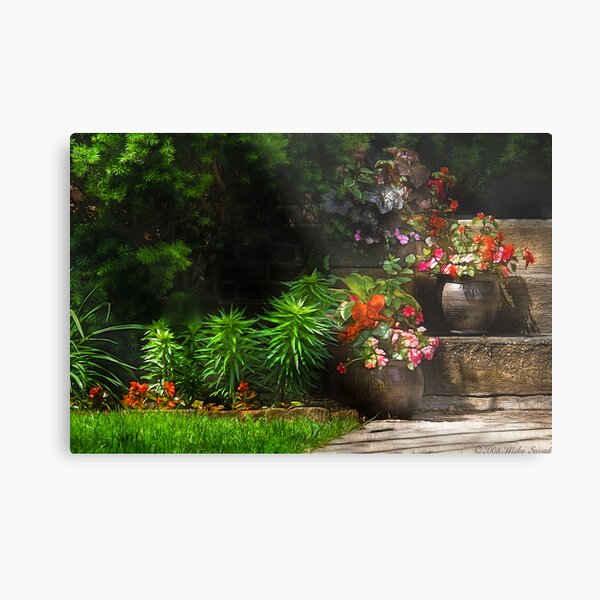 Item preview, Pots of plants designed and sold by Mike Savad Photography.