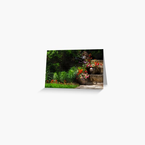 Item preview, Pots of plants designed and sold by Mike Savad Photography.