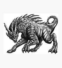 Dragon Photographic Print