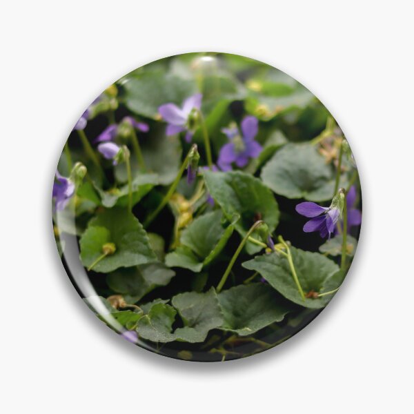 Item preview, Violets in the Grass 3 designed and sold by photolodico.