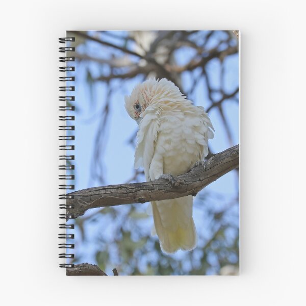 Item preview, Little Corella  (1007) designed and sold by Emmy Silvius.