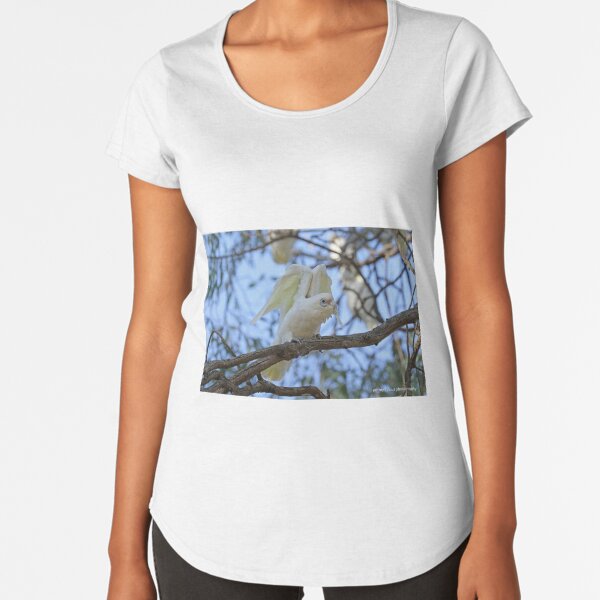 Little Corella (1012) Premium Scoop T-Shirt