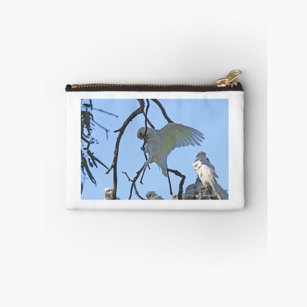 Item preview, Little Corella  (1055) designed and sold by Emmy Silvius.