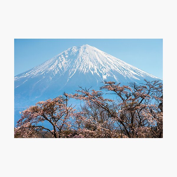 Photographic Print