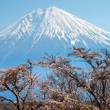 Artwork thumbnail, Mt Fuji by Adrian Alford Photography