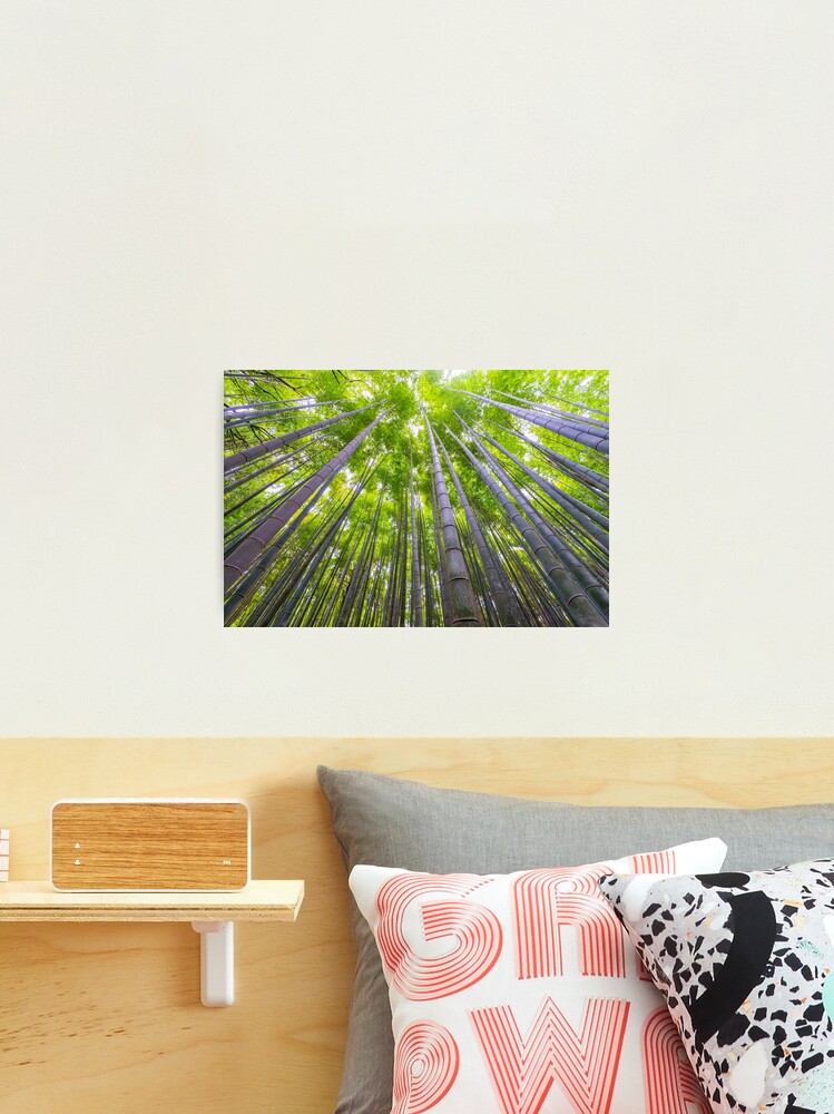 Thumbnail 2 of 3, Photographic Print, Kyoto Bamboo Arishiyama designed and sold by AdrianAlford.