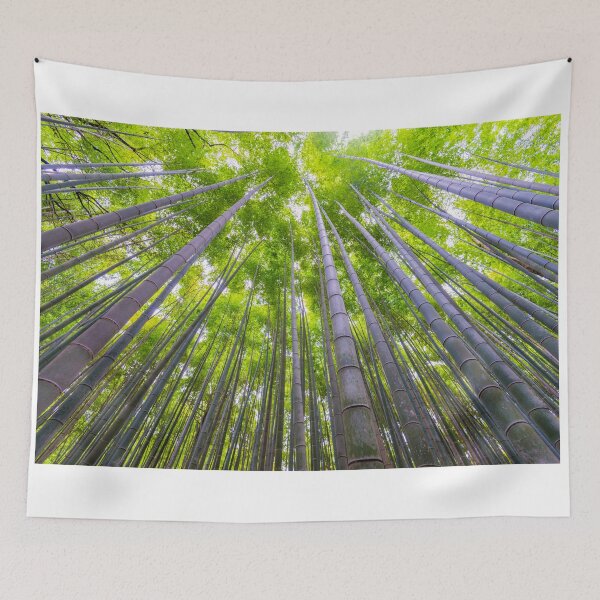 Item preview, Kyoto Bamboo Arishiyama designed and sold by Adrian Alford Photography.