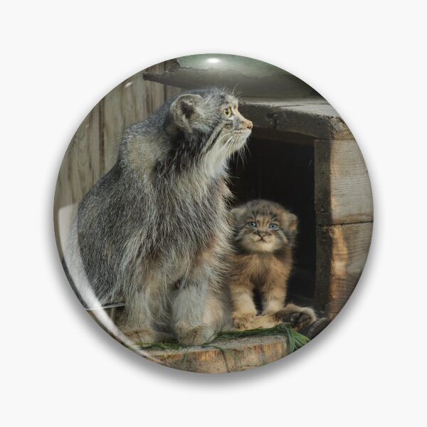 Item preview, Manul is the crown of cat beauty designed and sold by Manulization.