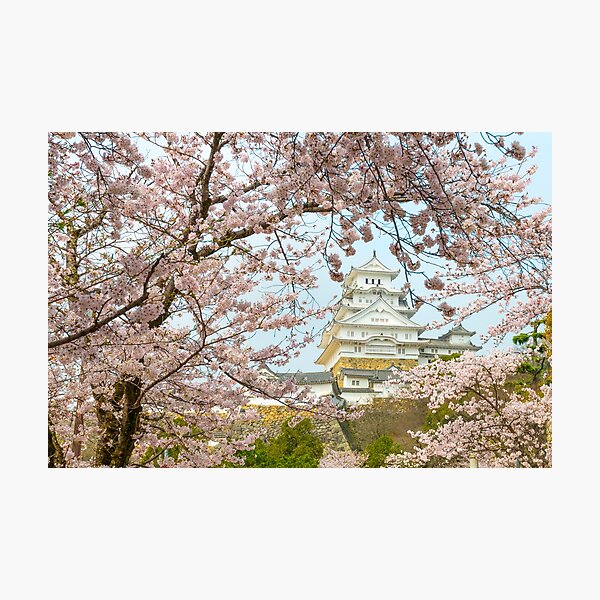 Item preview, Himeji Castle designed and sold by Adrian Alford Photography.
