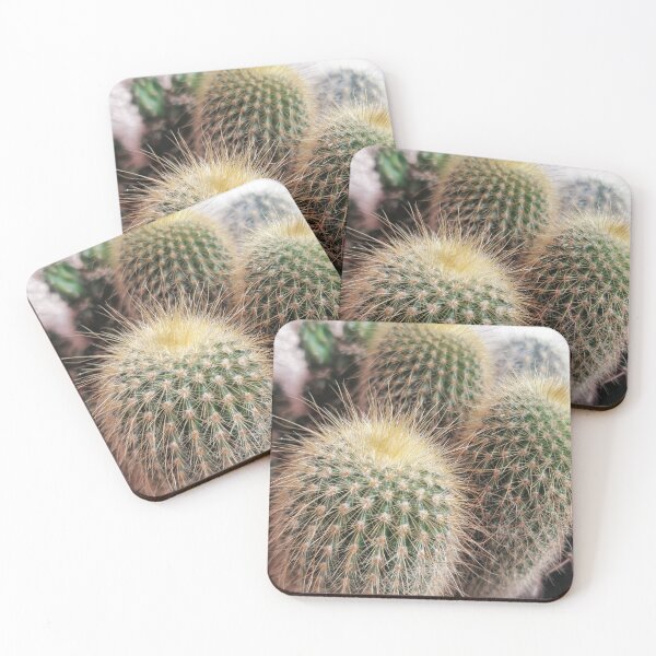 Item preview, Little Cactus  designed and sold by c-Adam18.