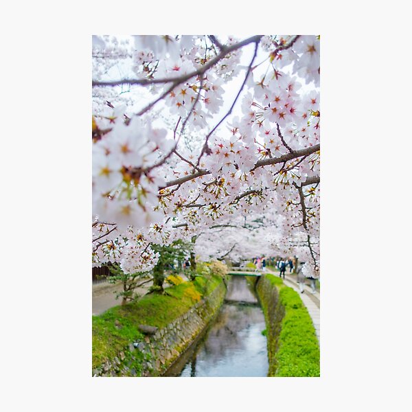 Item preview, Philosopher's Path designed and sold by Adrian Alford Photography.