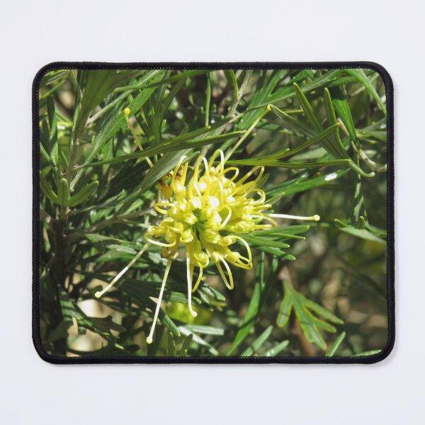 Item preview, Lemon grevillea designed and sold by greentiger1.