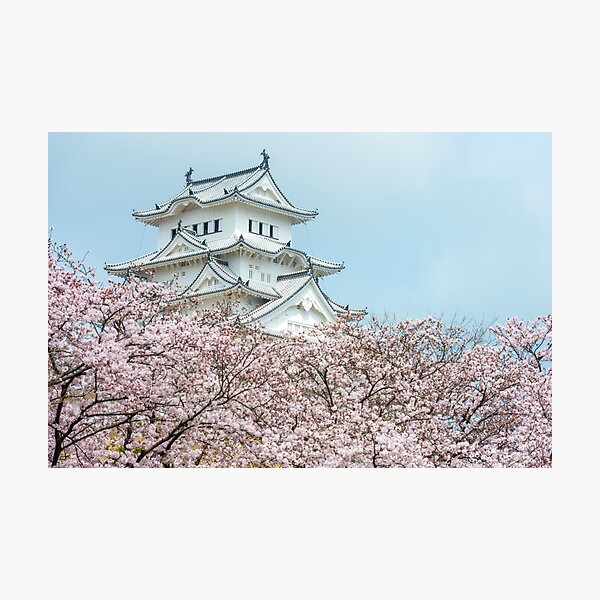Item preview, Himeji Castle Cherry Blossoms designed and sold by Adrian Alford Photography.