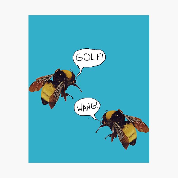 Golf Wang Scum Fuck Bees Photographic Print
