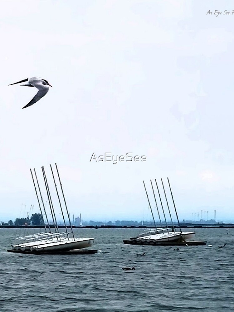 Jet Setter by AsEyeSee