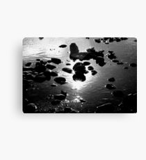 Starry Waters Canvas Print