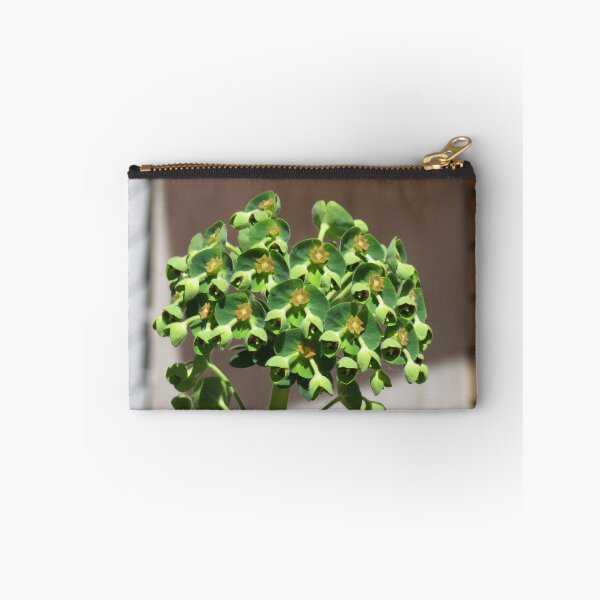 Item preview, Green euphorbia designed and sold by greentiger1.