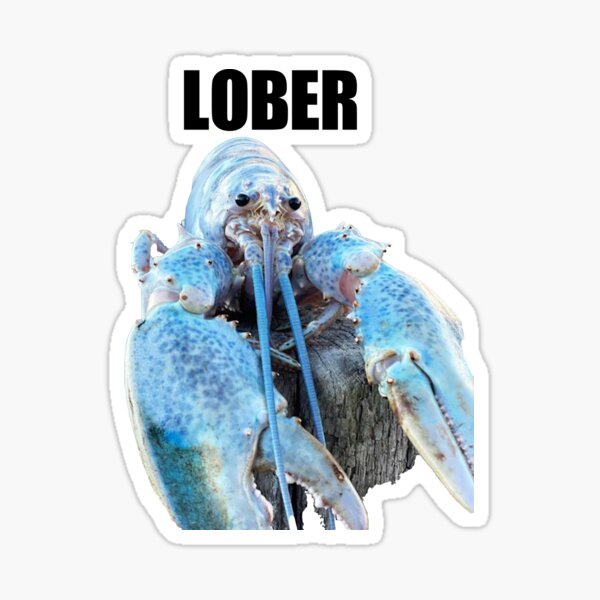 "Lober (Blue lobster meme)" Sticker for Sale by SeptoDesigns Redbubble