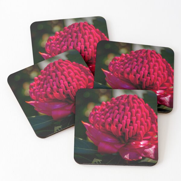 Item preview, Glorious Waratah designed and sold by Fran Woods.