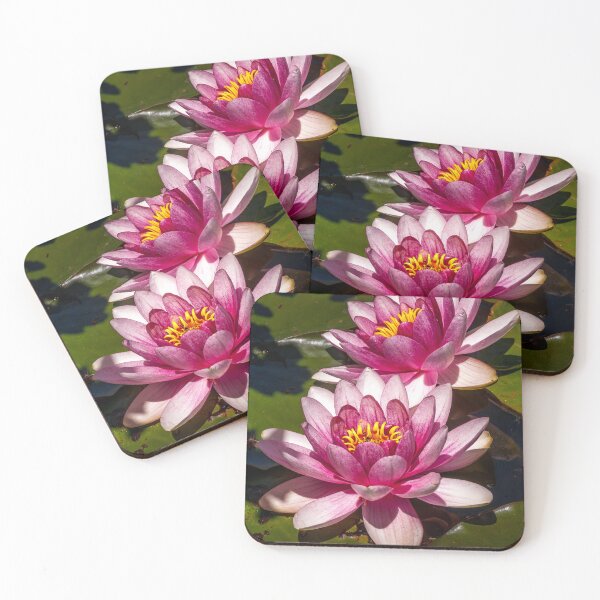 Item preview, Waterlily designed and sold by Fran Woods.