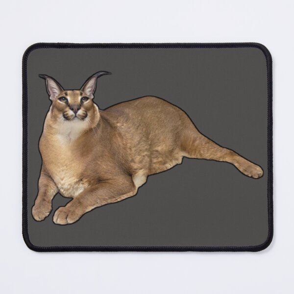 Big Floppa My Beloved Caracal Cat Meme Mousepad