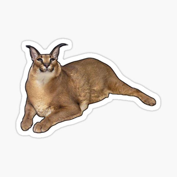 Big Floppa - Caracal meme cat / fat floppa / cursed floppa | Art Board Print