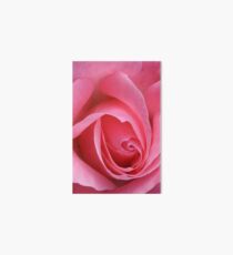 TIS the last Rose of Summer Art Board