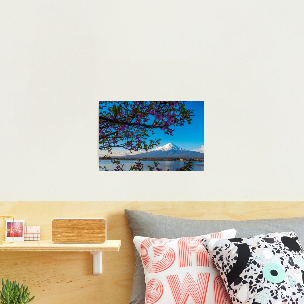 Mount Fuji flowers Photographic Print