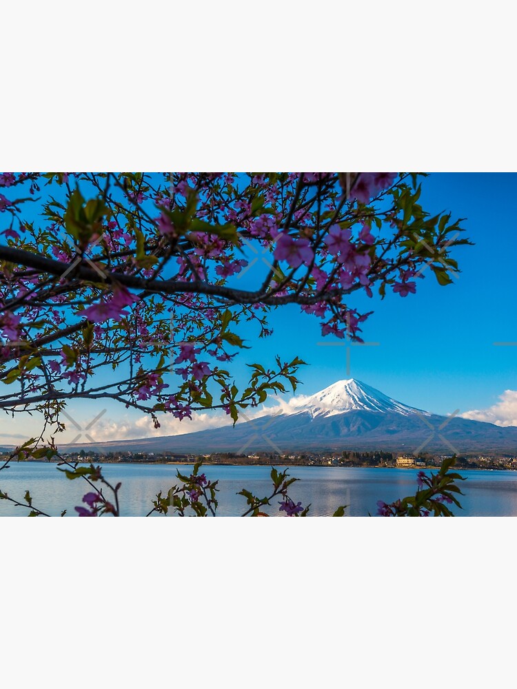 Mount Fuji flowers by AdrianAlford