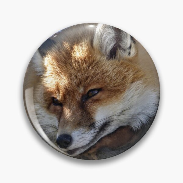 Item preview, Foxy Loxy designed and sold by wumplekin.