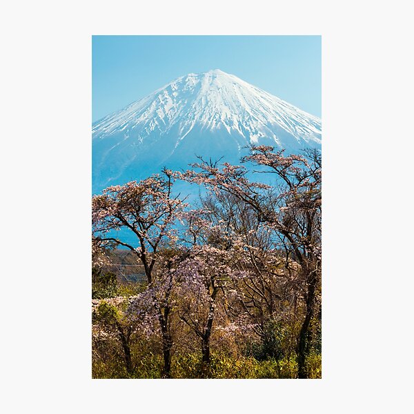 Item preview, Mt Fuji Spring designed and sold by Adrian Alford Photography.