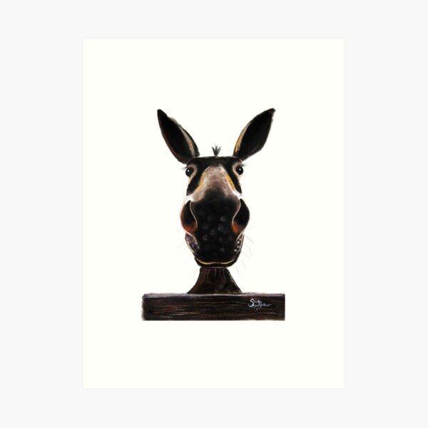 HAPPY DONKEY ' DEIRDRE DONKEY' BY SHIRLEY MACARTHUR Art Print