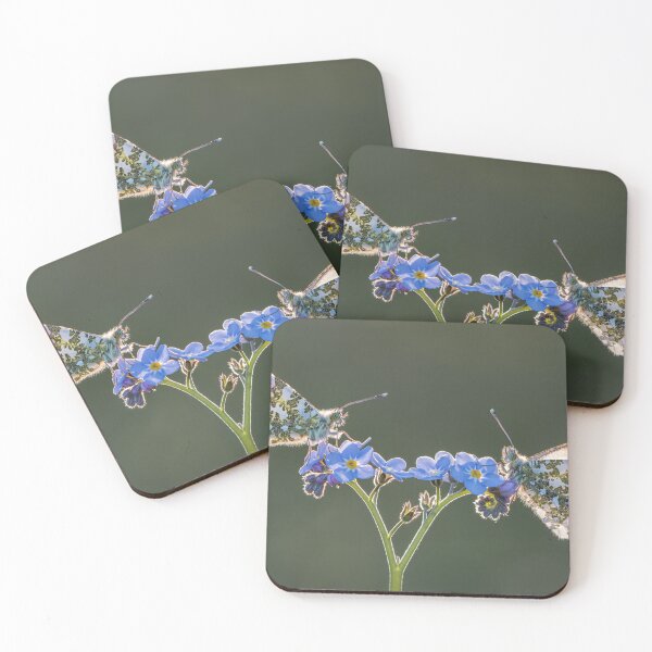 Item preview, Orange Tips on Forget-me-not backlit	 designed and sold by Tony North.