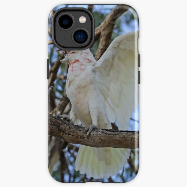 Little Corella and Long-billed Corella (1039) iPhone Tough Case