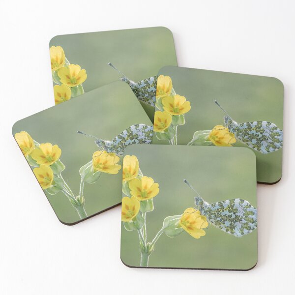 Item preview, Orange Tip on Cowslip designed and sold by Tony North.