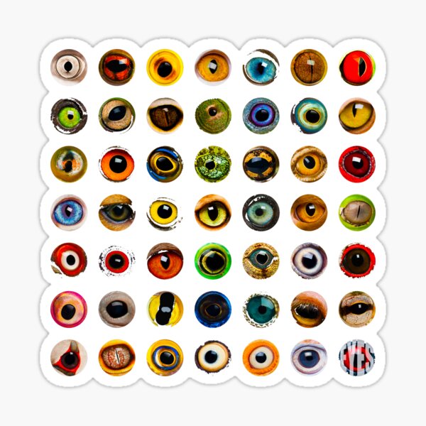 "animals eyes educational colorful" Sticker for Sale by karimaeldeeb