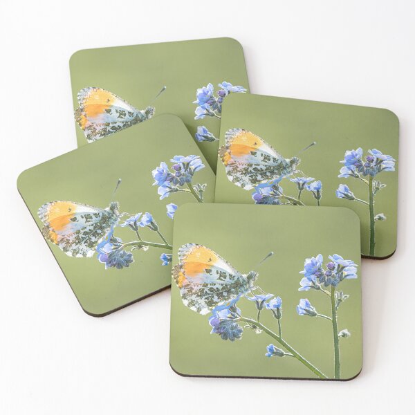 Item preview, Orange Tip on Forget-me-not	 designed and sold by Tony North.