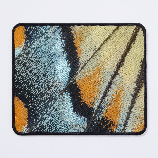 Item preview, Tiger Swallowtail Wing Close-up designed and sold by Tony North.