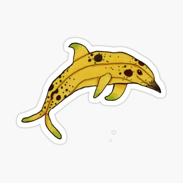 Banana Dolphin Sticker | Cute Funny Cartoon Silly stickers | 3 Water  Bottle | Laptop | College | Teen | Kids