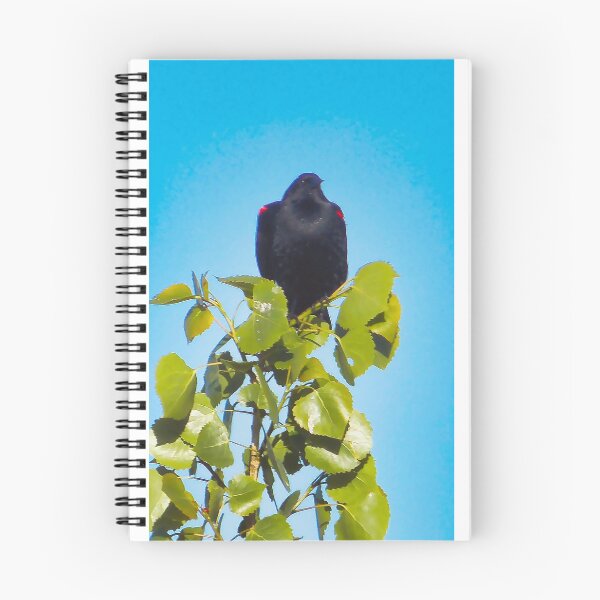 Item preview, Red Winged Black Bird designed and sold by OnigiriSuiko.