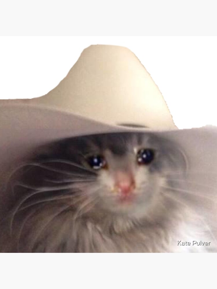 Sad Cat Cowboy Hat Sad Cat Cowboy Hat