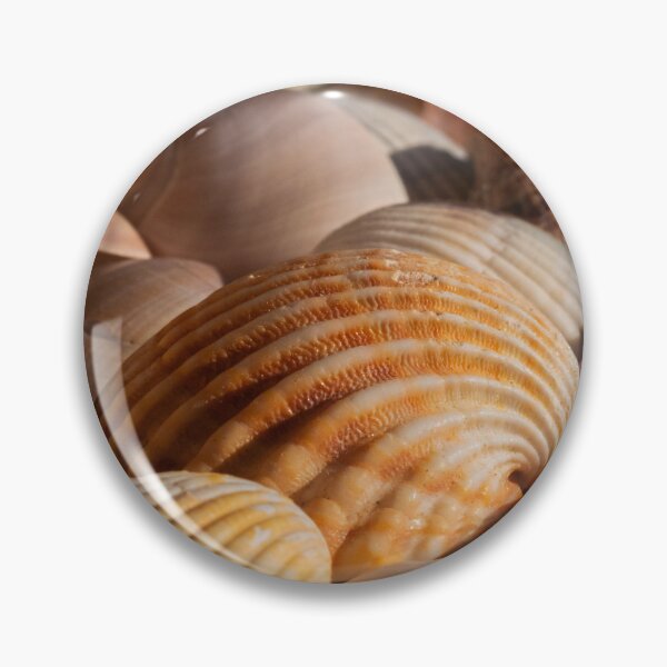 Item preview, Colorful Seashells on the Beach designed and sold by oneperception.