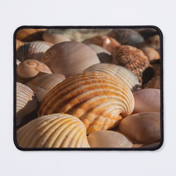 Item preview, Colorful Seashells on the Beach designed and sold by oneperception.