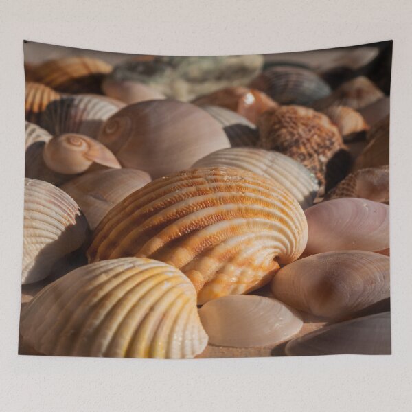 Item preview, Colorful Seashells on the Beach designed and sold by oneperception.
