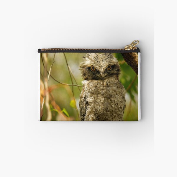 Item preview, Tawny Frogmouth Juvenile designed and sold by theleastone.