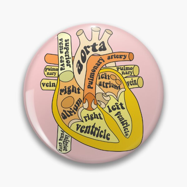 Item preview, Anatomical heart  designed and sold by Preslava Genova.