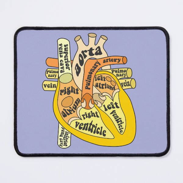 Item preview, Anatomical heart designed and sold by Preslava Genova.