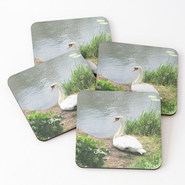 Item preview, A gorgeous swan at the lake designed and sold by NataliaJ-P.