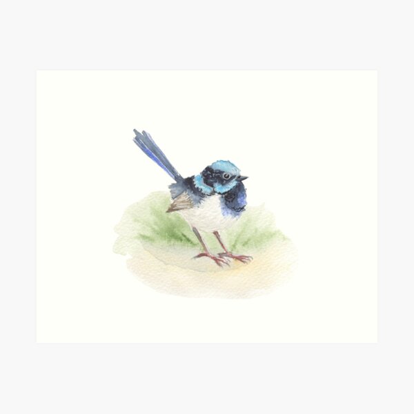Item preview, Superb Fairy Wren insitu designed and sold by Kathryn Price.